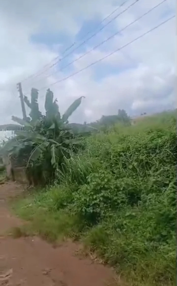 Land for Sale in Airport Road, Edo cover picture