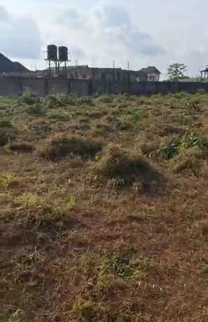 Land for Sale in VIU, Edo cover picture