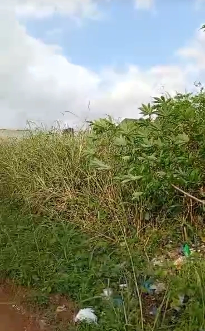 Land for Sale in Airport Road extension, Edo cover picture