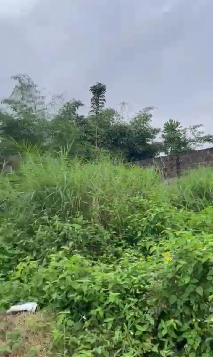 Land for Sale in Okhoromi community, Edo cover picture