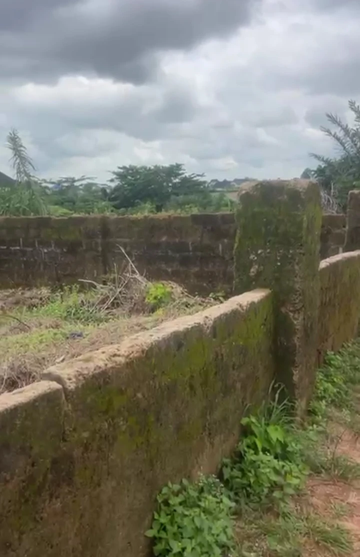 Land for Sale in Amagba community, Edo cover picture