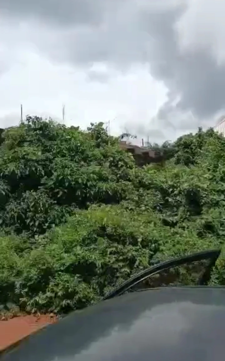 Land for Sale in Evbuodia community, Edo cover picture