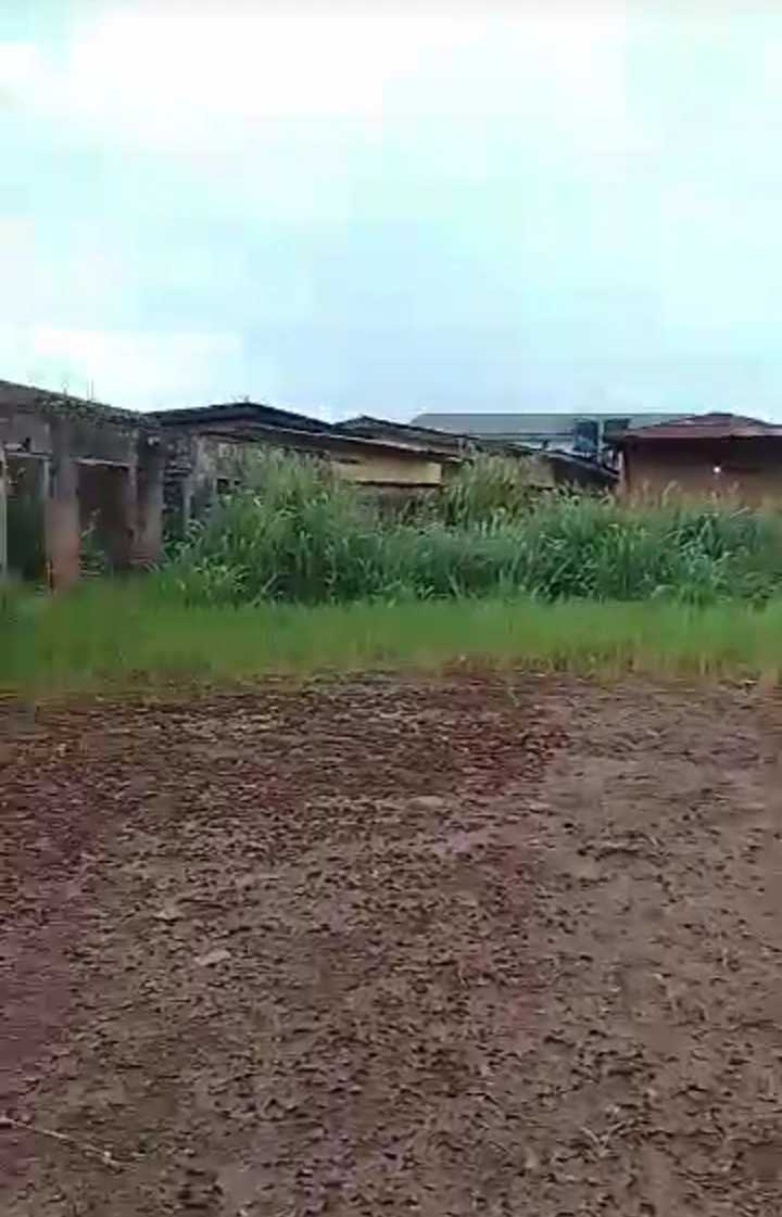 Land for Sale in Cinema TV road, Edo cover picture