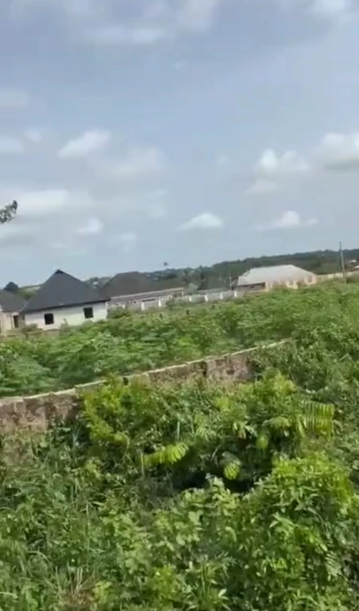 Land for Sale in Amagba, Edo cover picture