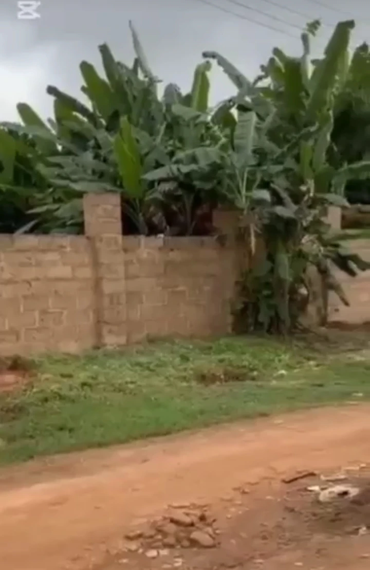Land for Sale in Etete layout, Edo cover picture