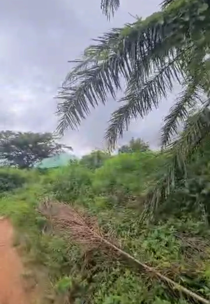 Land for Sale in Ofumengbe/okhoromi by maiah hotel, Edo cover picture