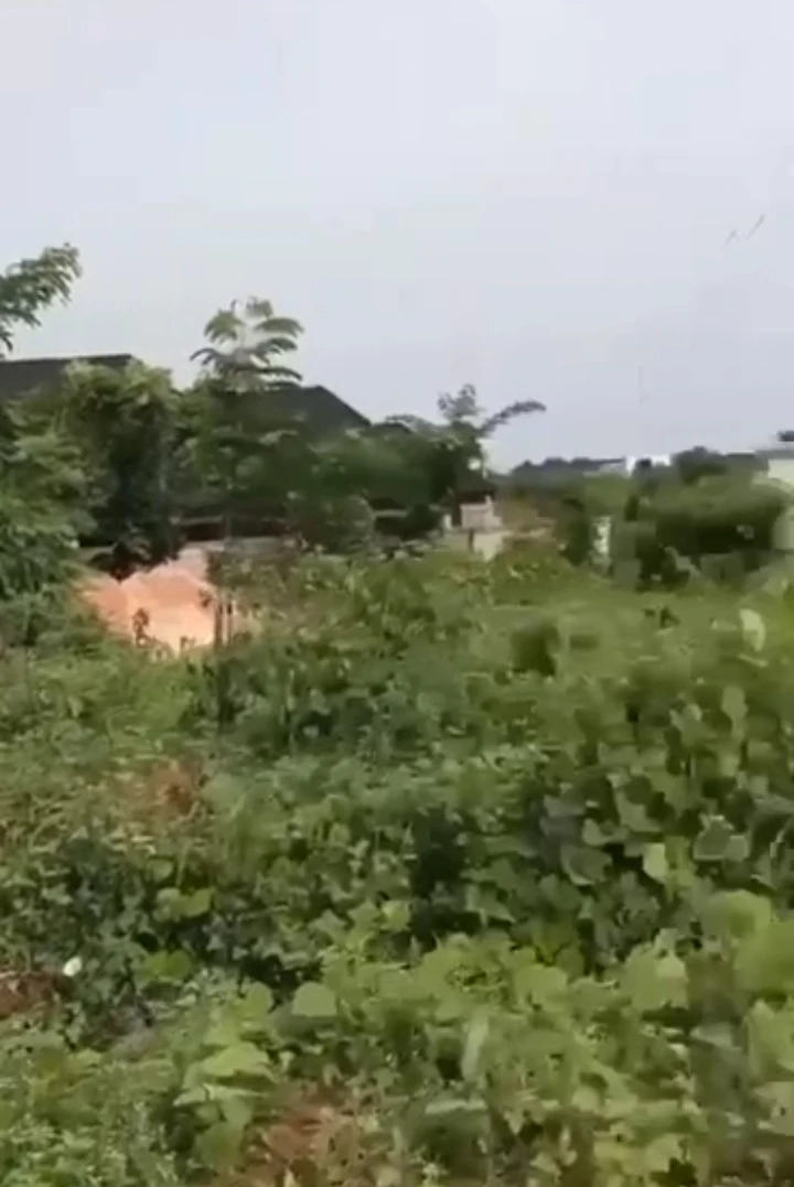 Land for Sale in Amagba close to the tarred road, Edo cover picture