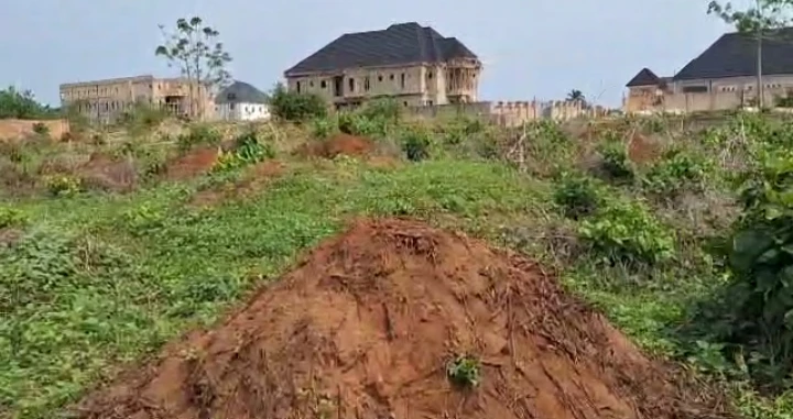 Land for Sale in Amagba, Edo cover picture