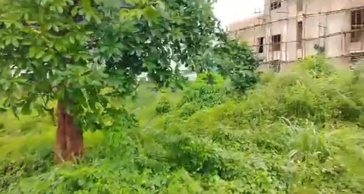 Land for Sale in Guobadia off country home, Edo cover picture