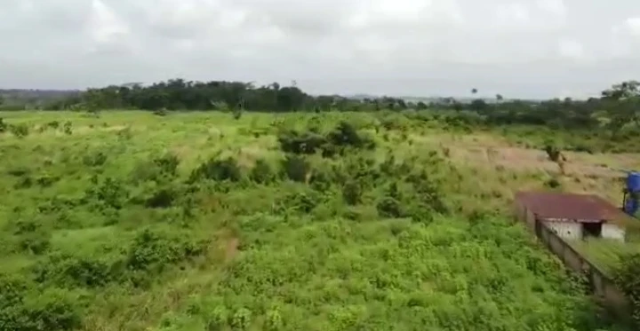 Land for Sale in Ugoneki, Edo cover picture