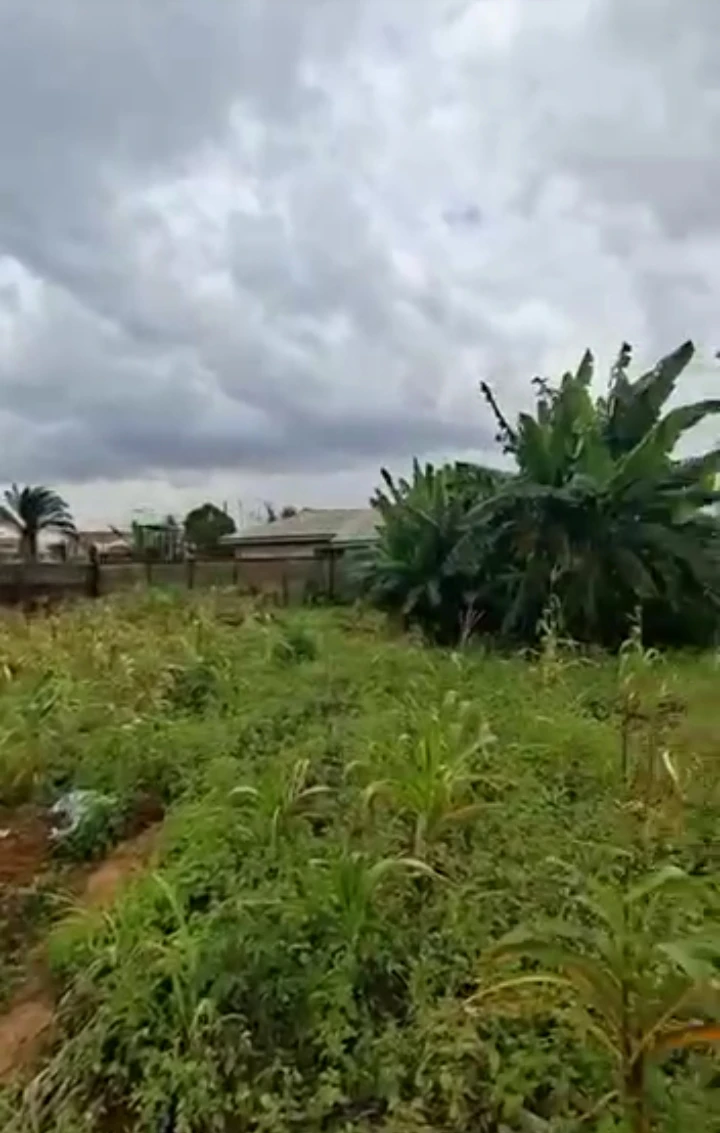 Land for Sale in Etete GRA, Edo cover picture