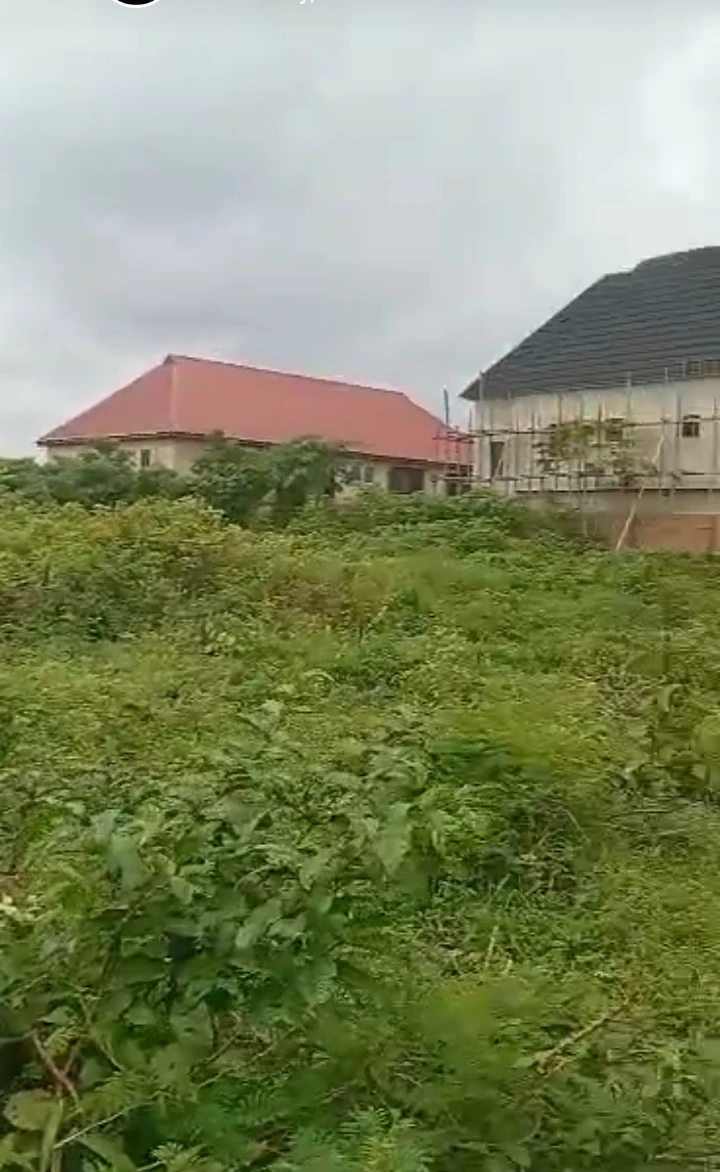 Land for Sale in Evbuodia community, Edo cover picture