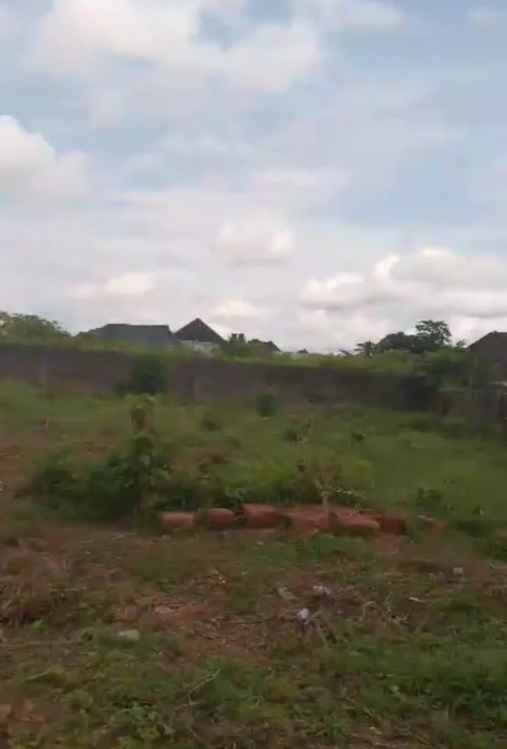 Land for Sale in Evbuodia community, Edo cover picture