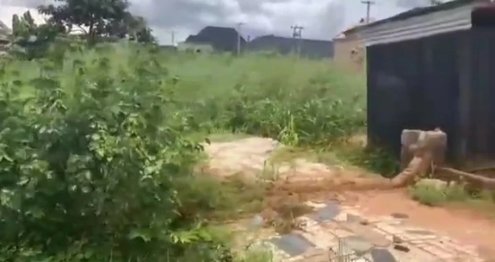 Land for Sale in Opposite Okhuromi Main Road, Edo cover picture