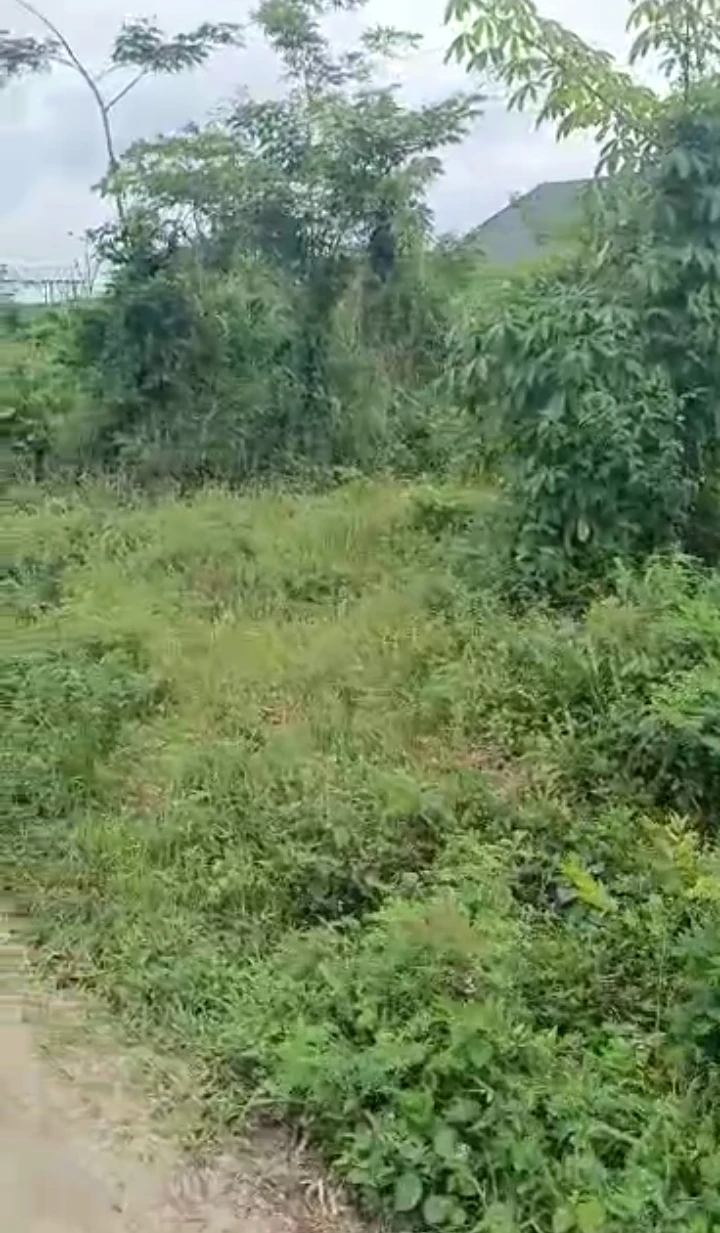 Uncompleted Building for Sale in Ogheghe, Edo cover picture