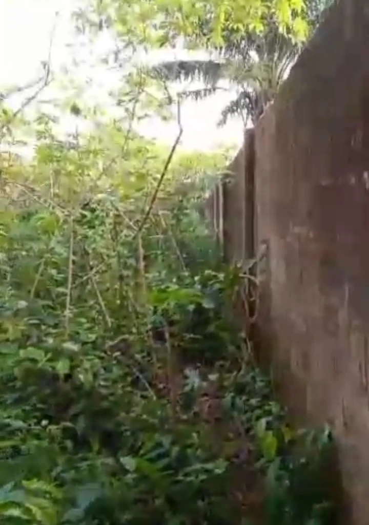 Land for Sale in Ulemon, Edo cover picture