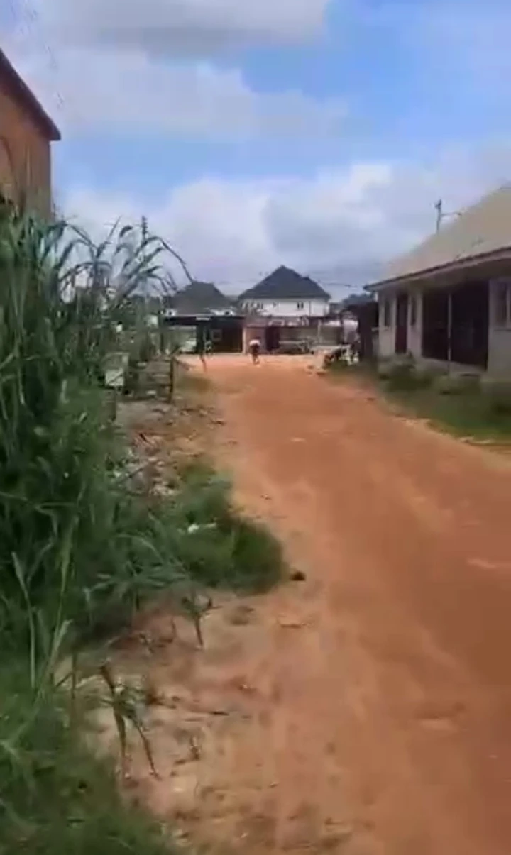 Land for Sale in Okhoromi community, Edo cover picture