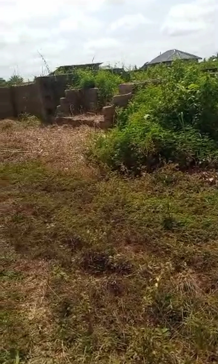 Land for Sale in Obagie community, Edo cover picture