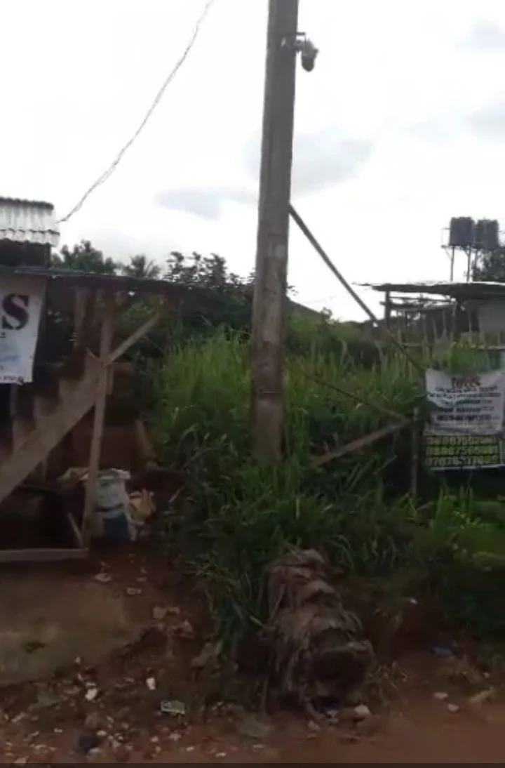 Land for Sale in Iyenkesen community off Irhirhi tarred road, Edo cover picture