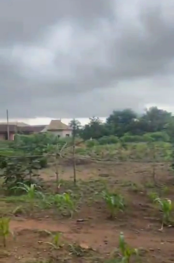 Land for Sale in Ebo primary school Irhirhi, Edo cover picture