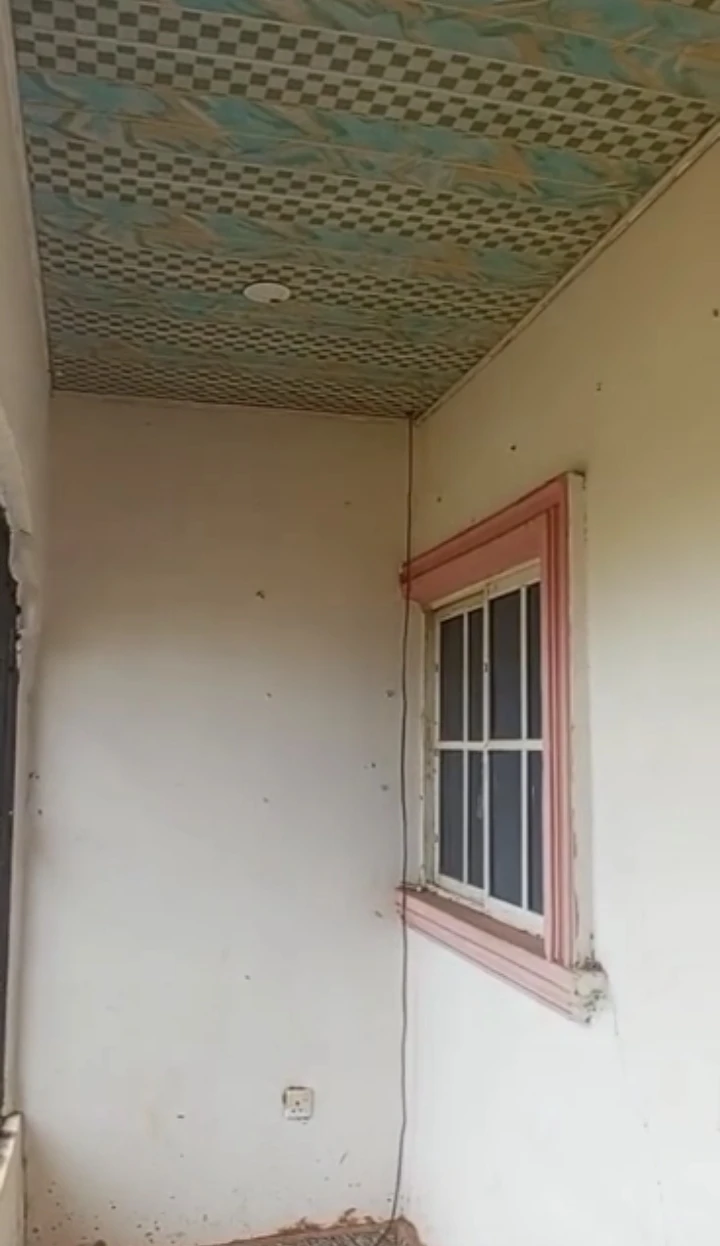 1 Bedroom Flat for Rent in Peanut, Edo cover picture
