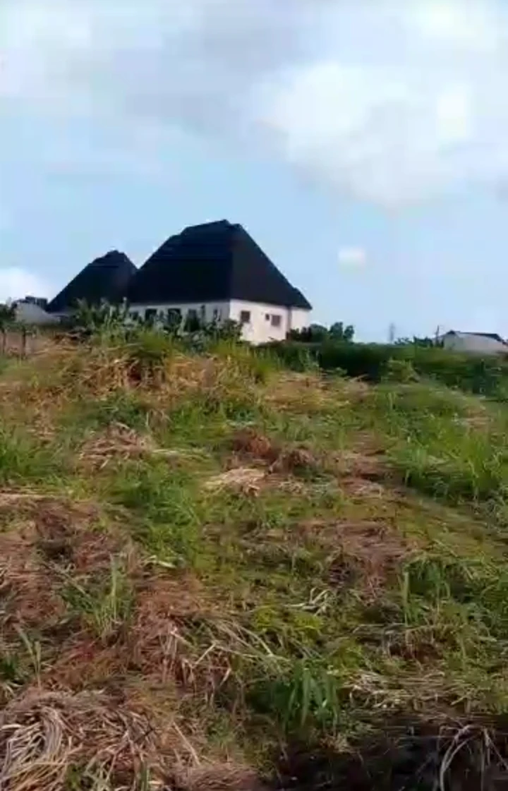 Land for Sale in Ulemon community, Edo cover picture