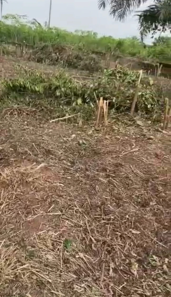 Land for Sale in Evbovbuovbuke after ulemo, Edo cover picture