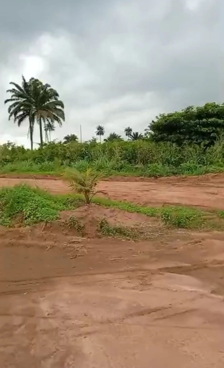 Land for Sale in Ureghin Community, Edo cover picture