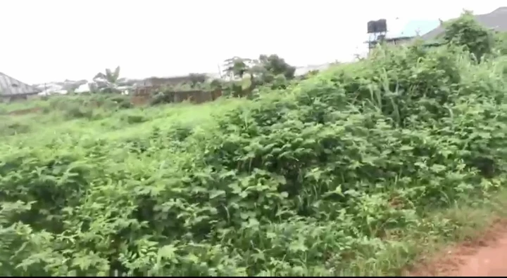 Land for Sale in Ulemo community, Edo cover picture