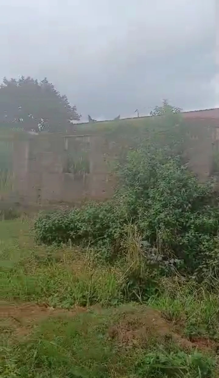Land for Sale in Amenze street, Abuja Quarters GRA, Edo cover picture