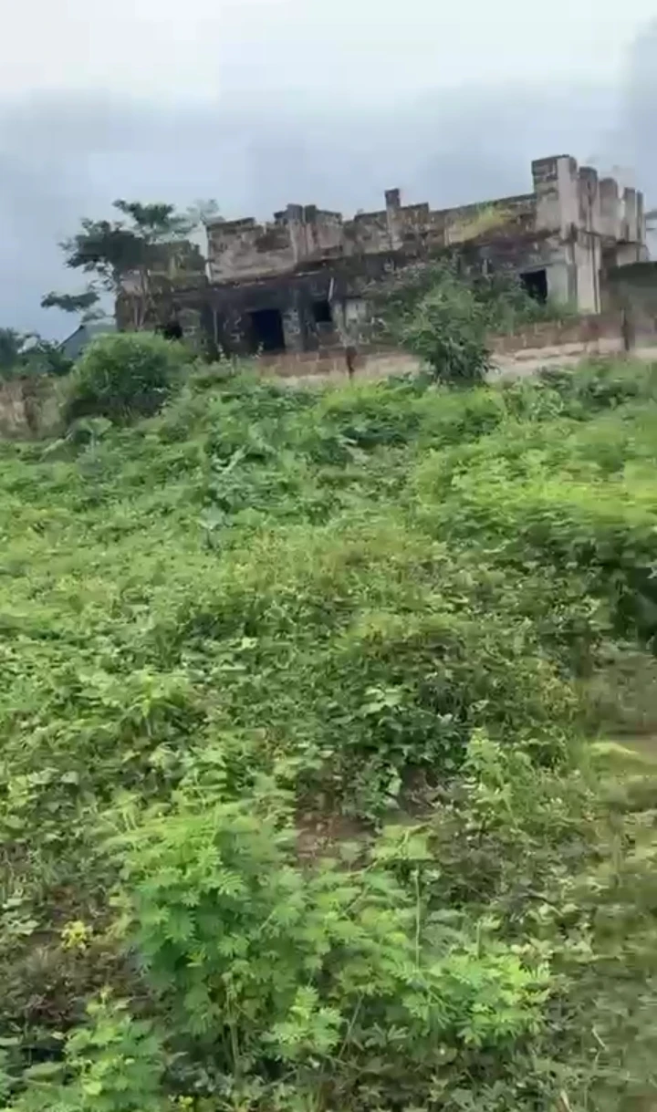 Land for Sale in Okoroma road very close to Airport road, Edo cover picture