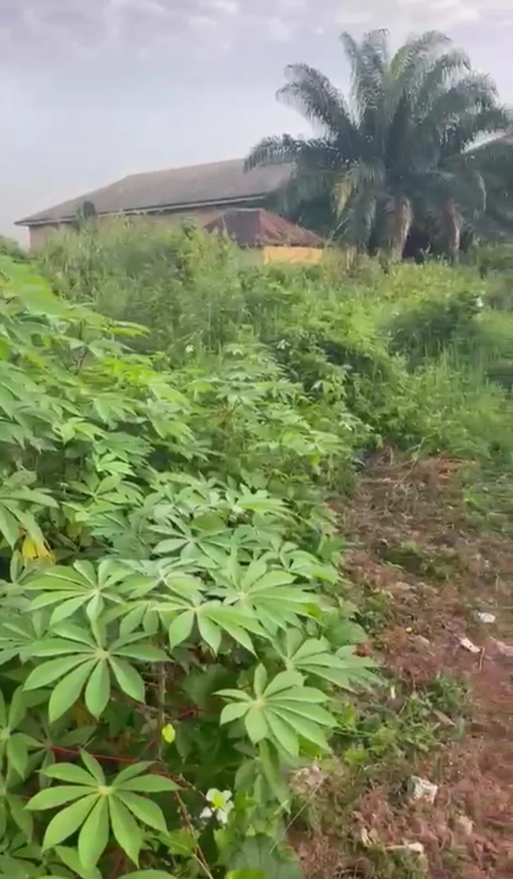 Land for Sale in MTN Mast, Edo cover picture