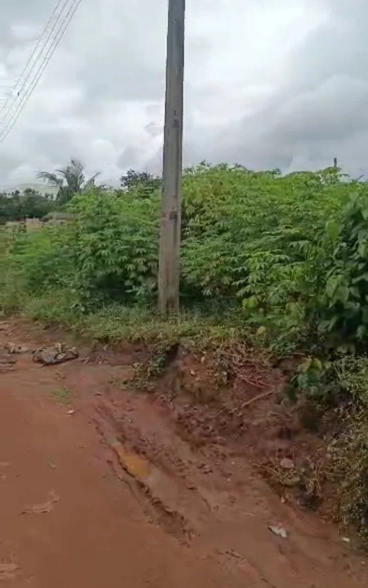 Land for Sale in Arougba - Oguwenyi, Edo cover picture