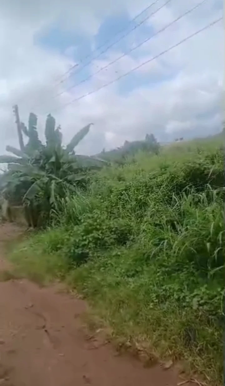 Land for Sale in Airport road, Edo cover picture