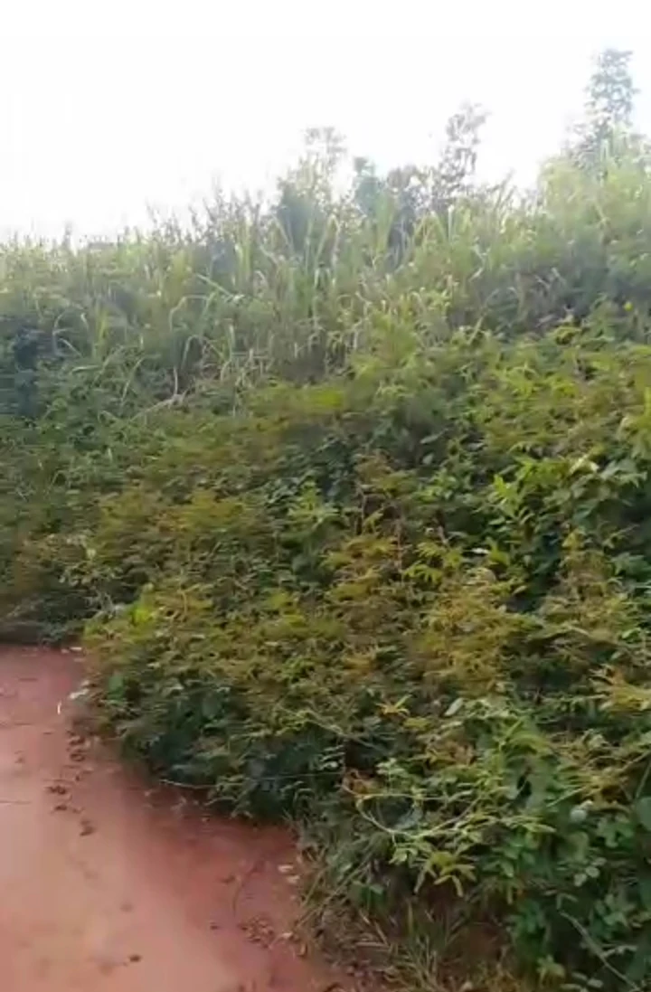Land for Sale in Ulemo quarters, Edo cover picture