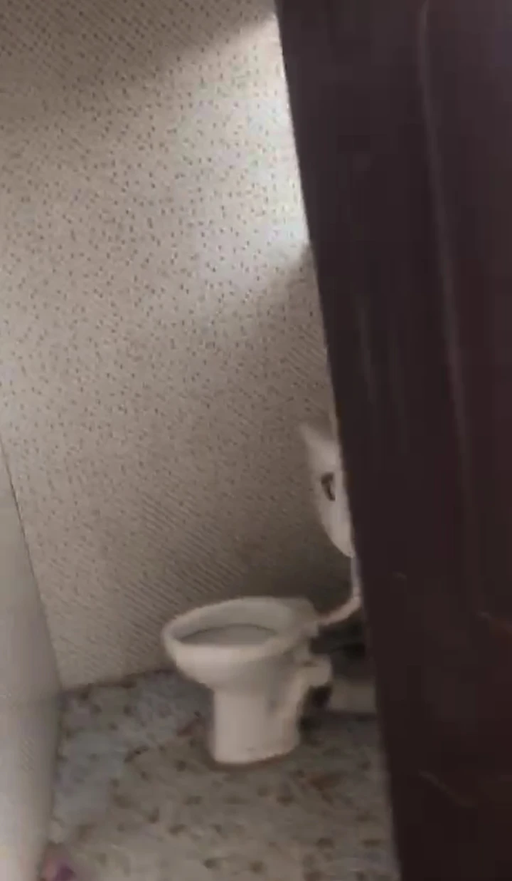 2 Bedroom Flat for Rent in MTN, Edo cover picture