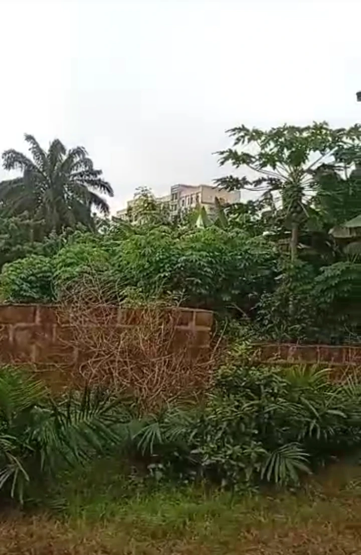 Land for Sale in Oguola avenue off golf course GRA, Edo cover picture
