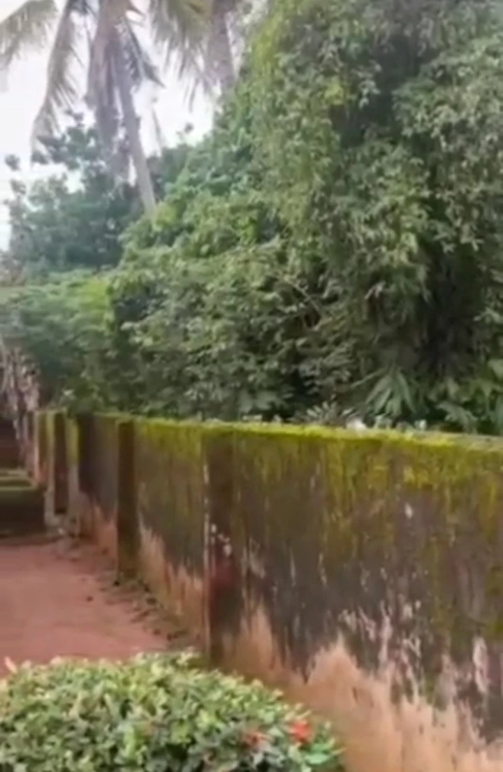 Land for Sale in Ogiesoba off airport road, Edo cover picture