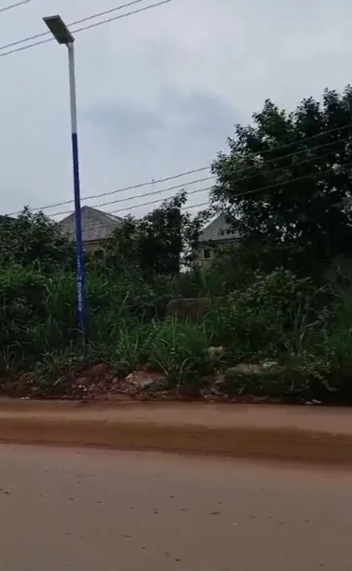 Land for Sale in Oguwenyi off airport road, Edo cover picture