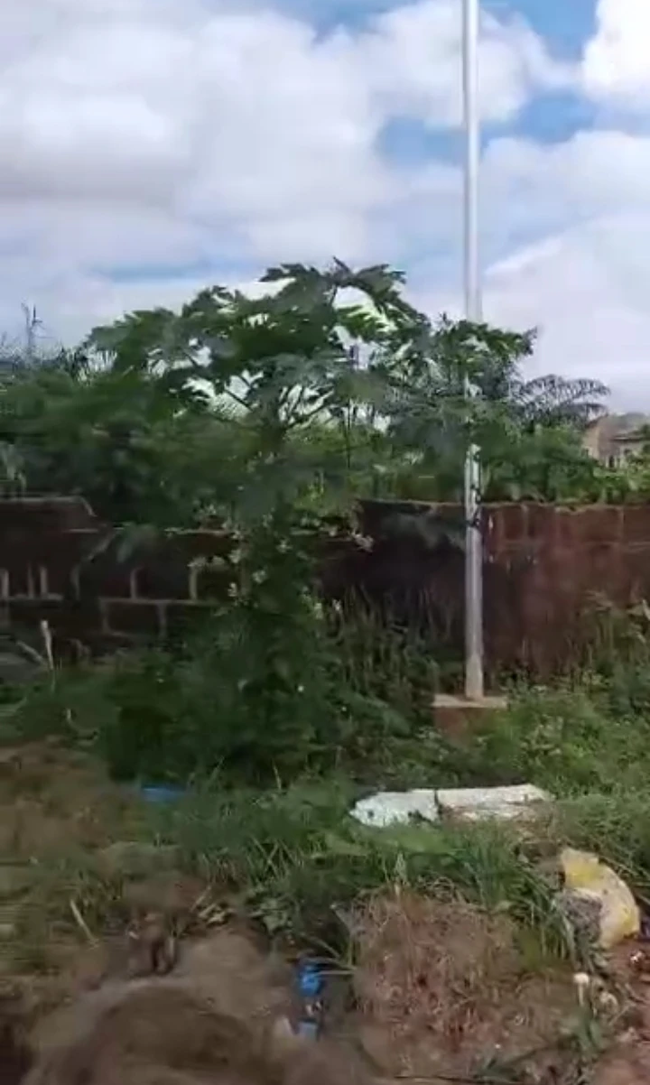 Land for Sale in Etete, Edo cover picture