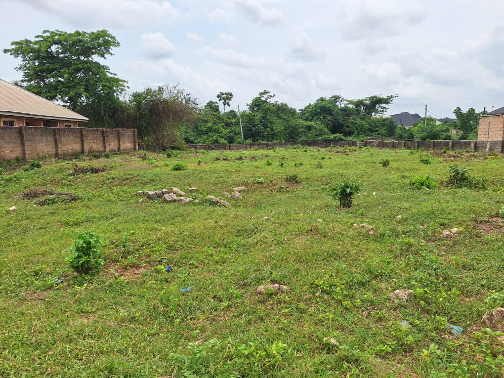 Land for Sale in Amagba, Edo cover picture
