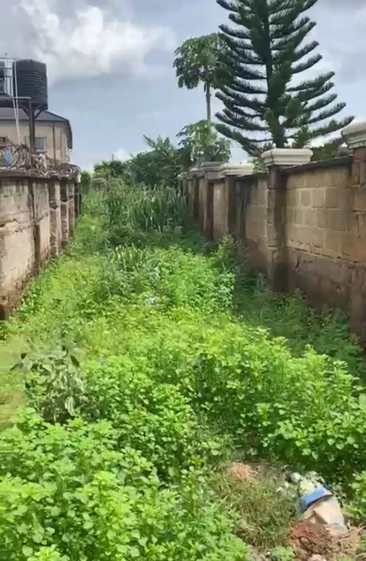 Land for Sale in off Tony kabaka street, Edo cover picture