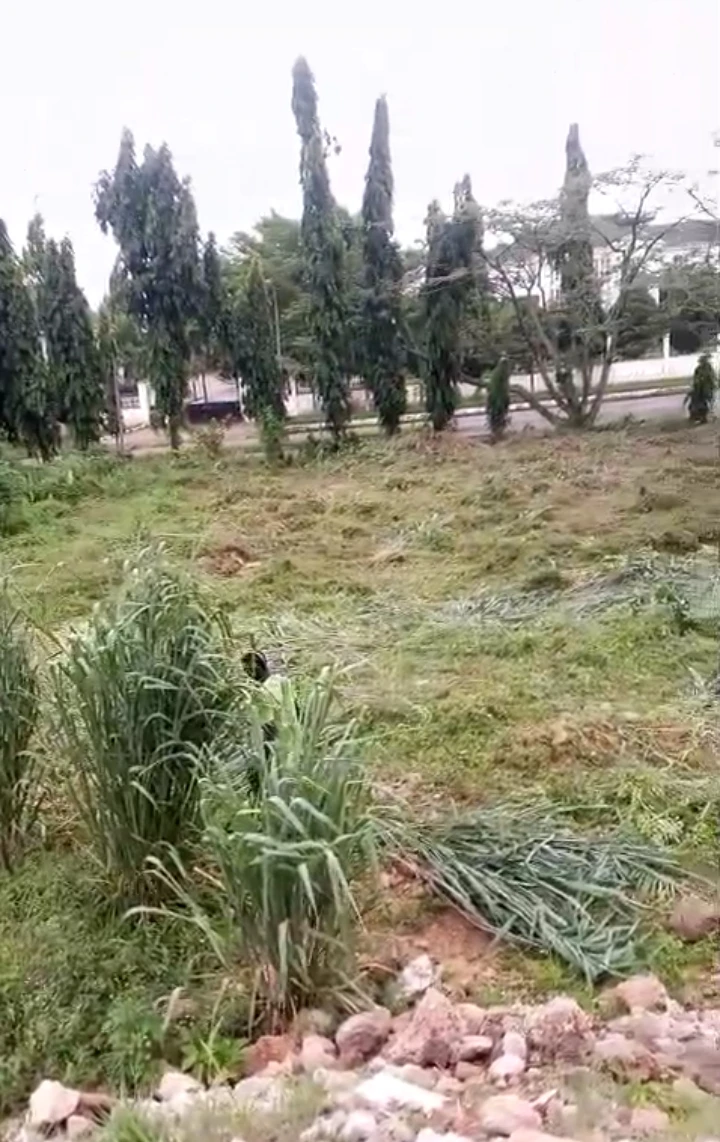 Land for Sale in iyekogba Housing Estate, Edo cover picture