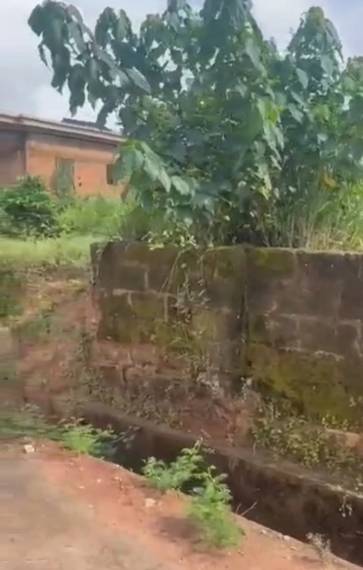 Uncompleted Building for Sale in Ulemon, Edo cover picture