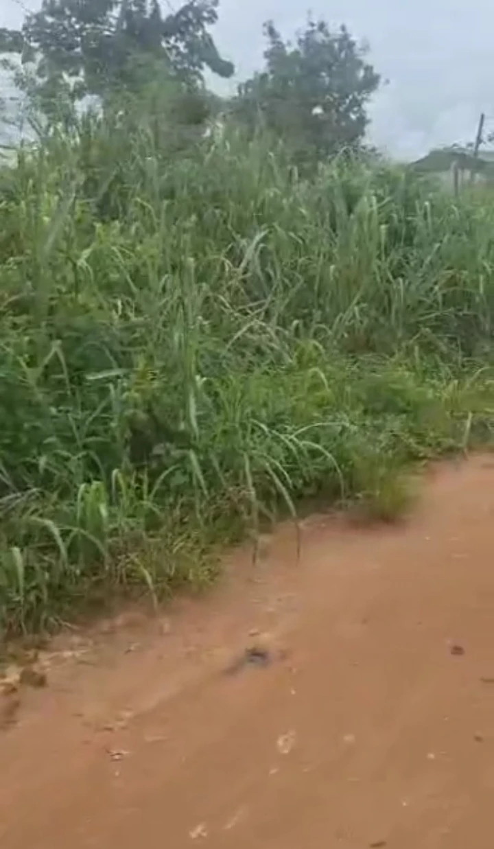 Land for Sale in Iyekogha, Edo cover picture