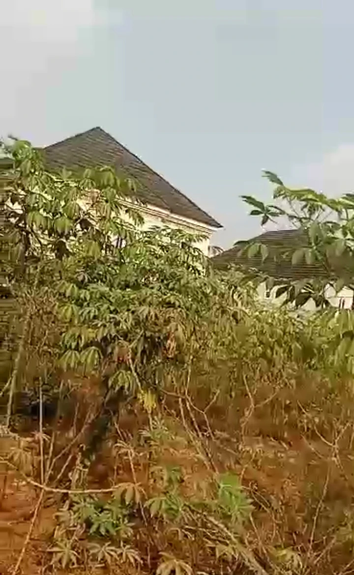 Land for Sale in Amagba, Edo cover picture
