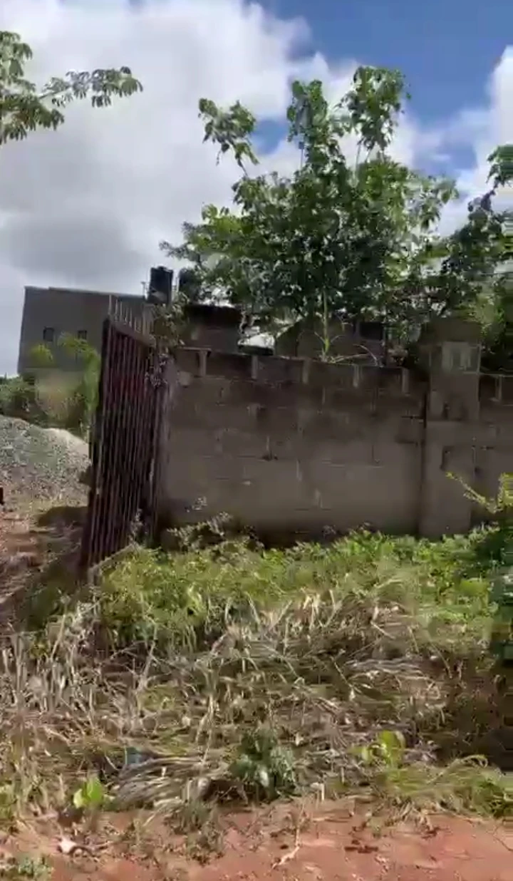 Land for Sale in Amagba, Edo cover picture