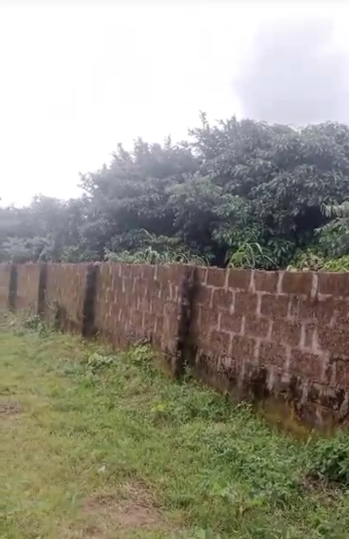 Land for Sale in Okhoromi community off airport road, Edo cover picture