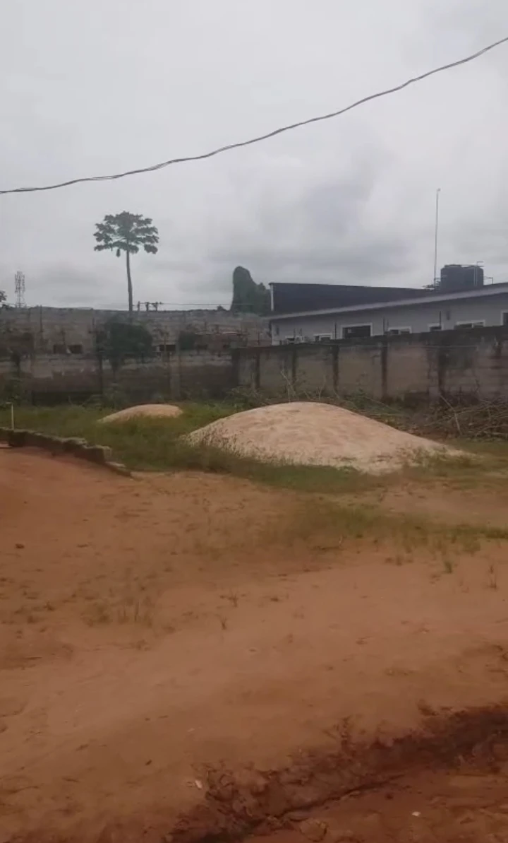 Land for Sale in Okhoromi community, Edo cover picture
