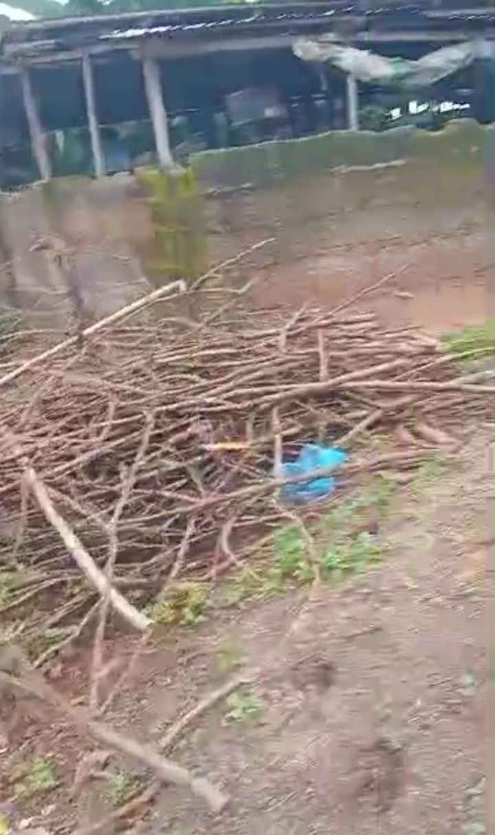Land for Sale in Egba road upper Sakpoba road, Edo cover picture